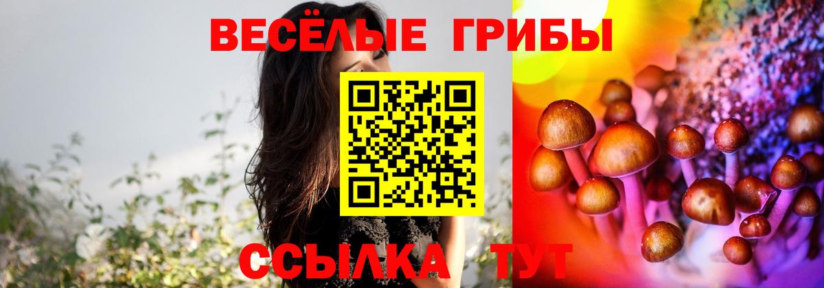 Псилоцибиновые грибы прущие грибы  Вход с VPN  Солнечногорск  Галлюциногенные грибы мицелий 
